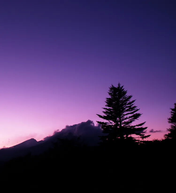 酒吧“ BURGUNDY”