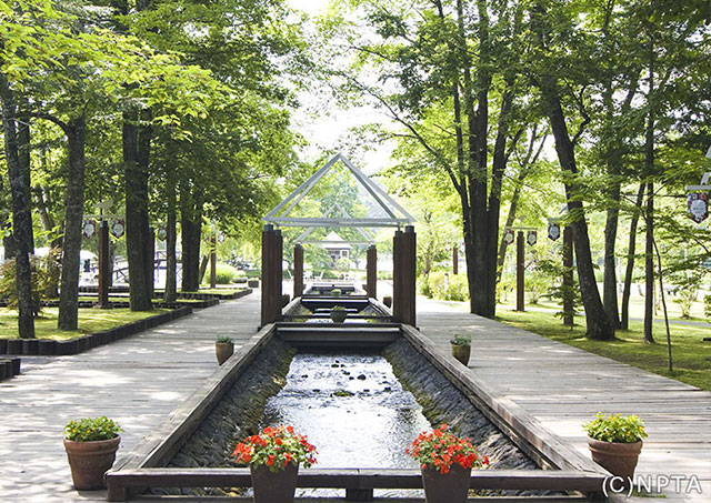 Karuizawa TALIESIN / 輕井澤町