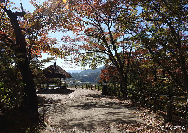 懷古園紅葉祭/小諸市