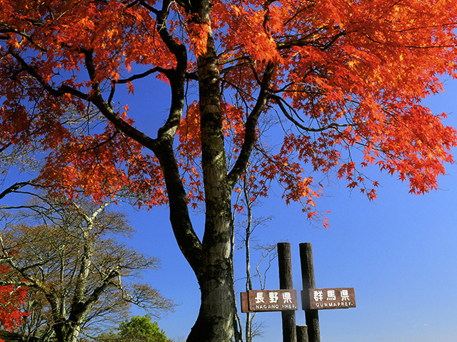舊碓冰嶺 觀景台