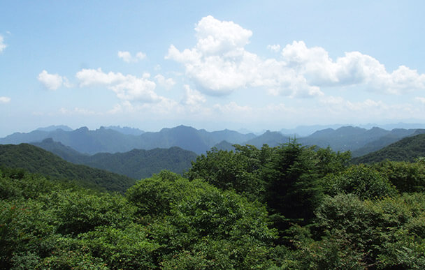 舊碓冰嶺 觀景台