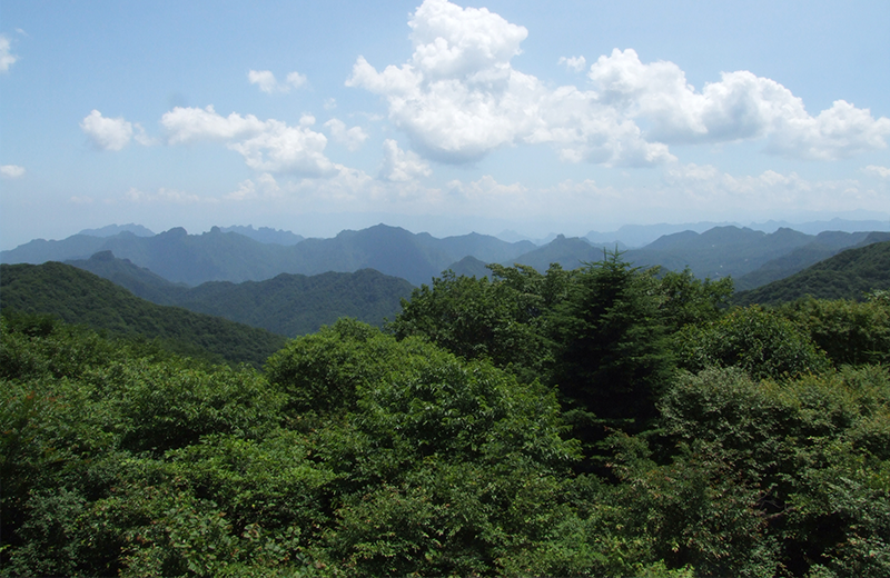 舊碓冰嶺 觀景台
